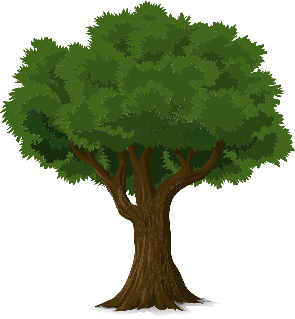Tree Management